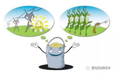 餐廚垃圾、大件垃圾如何處理?小宣來支招!(附垃圾清運熱線)_社會