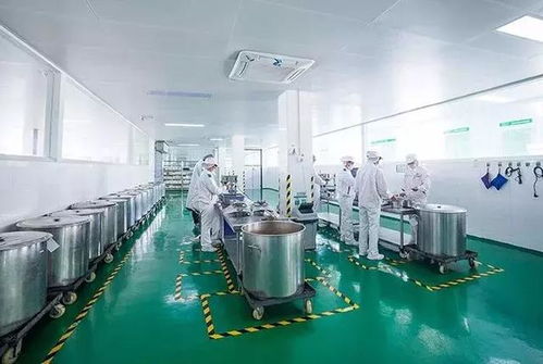 一座現代化 中央廚房 拔地而起...